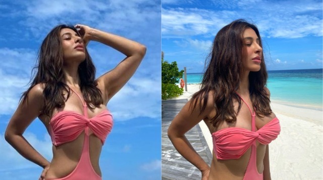Sophie Choudry Looking Stunningly Sexy In Pink Hot Bikini As She Illustrates Her Toned Figure.