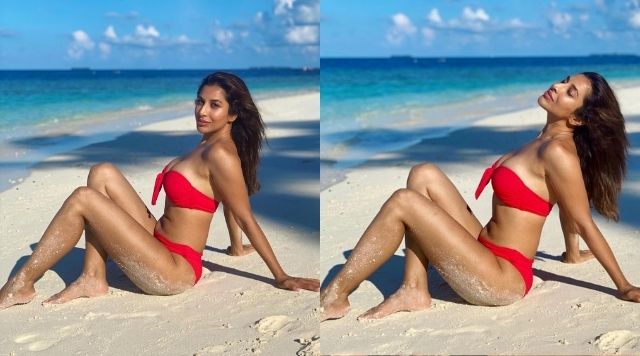 Sophie Choudry Increasing Temperature With Her Sexy Beach Pictures.