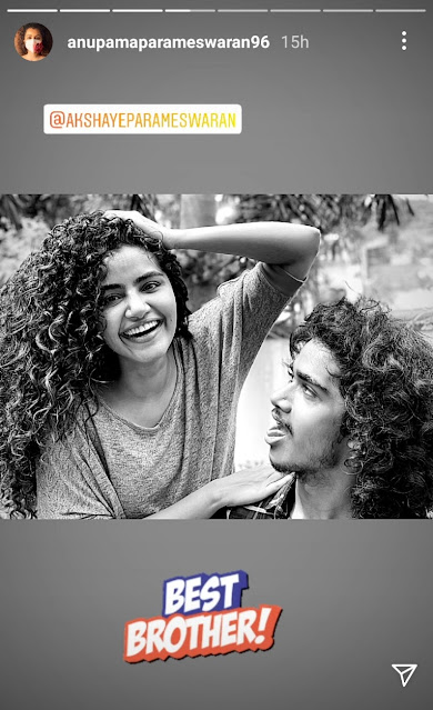 Anupama Parameswaran Wishes Her Brother Akshay On Brother's Day, Calls Him "Monkey Fellow".